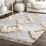 nuLOOM Area Rug