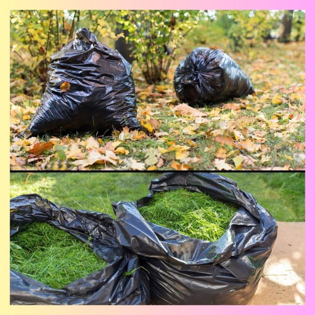 Amazon Leaf Bags