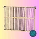 Safety 1st Baby Gate