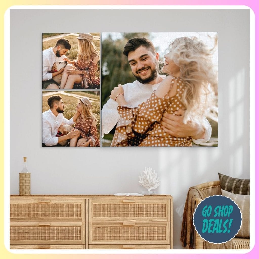 CanvasChamp Black Friday 2024