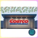 Groupon Costco Membership Deal