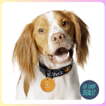 free Tito's Dog Collar Tag