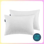 Walmart Serta Pillows