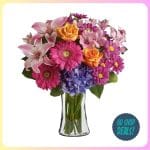 Groupon Blooms Today flowers