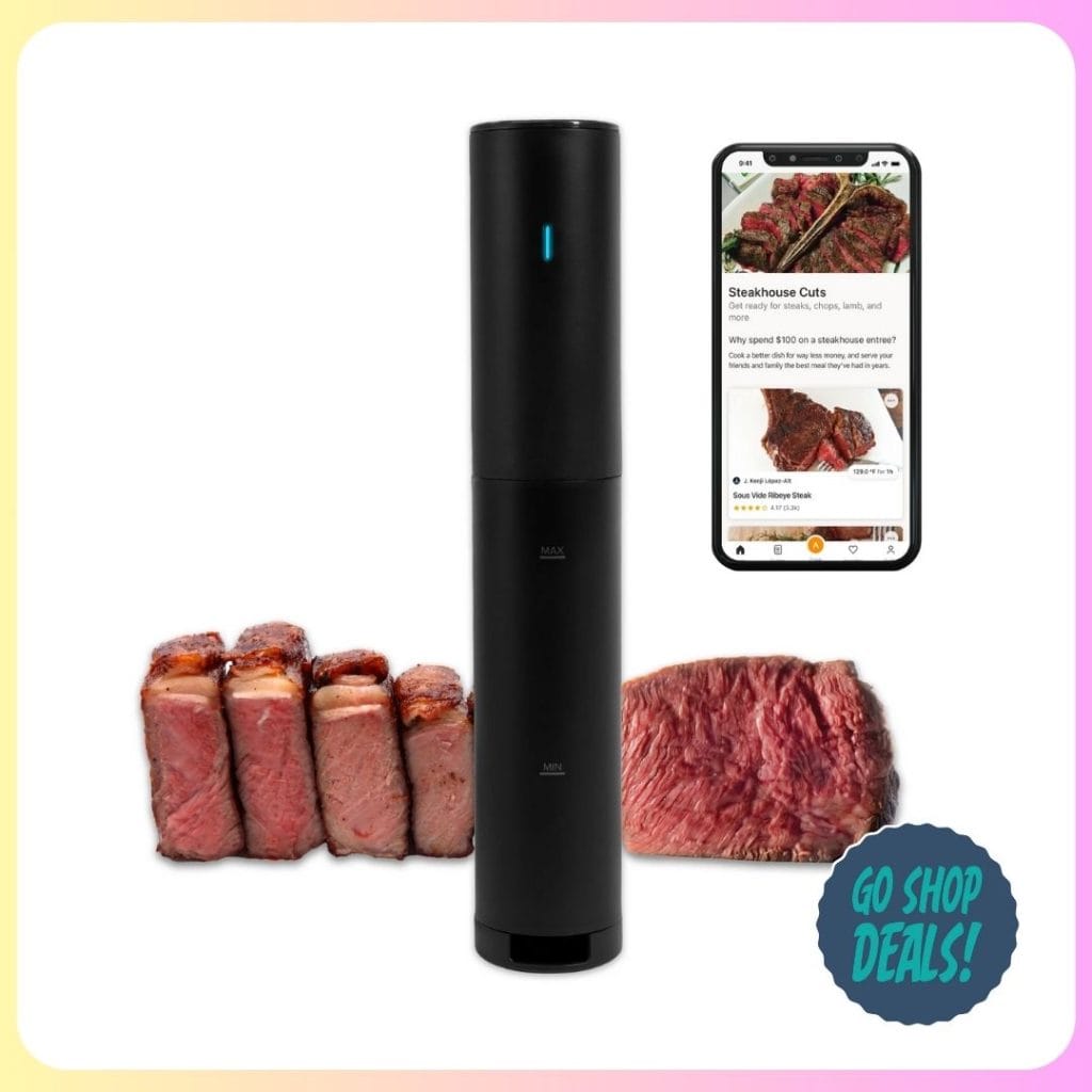Walmart Sous Vide Precision Cooker