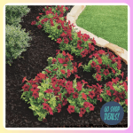 Home Depot Gardening Sale