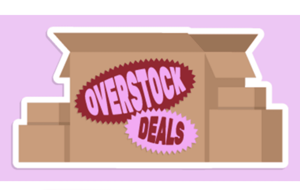 Woot Overstock Deals 2026