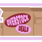 Woot Overstock Deals 2026